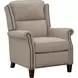 Shasta Linen Gray Push Thru The Arms Recliner with Nailhead Trim