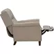 Shasta Linen Gray Push Thru The Arms Recliner with Nailhead Trim