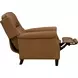 Shasta Elwood Cider Leather Push Thru The Arms Recliner with Nailhead Trim