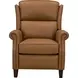 Shasta Elwood Cider Leather Push Thru The Arms Recliner with Nailhead Trim