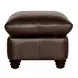 Brookstone Chocolate Leather Ottoman