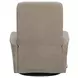 Dualis Snazzy Taupe Manual Swivel Glider Recliner
