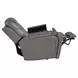 Daniel Gray Triple Power Recliner