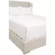 Stewart Beige Queen Upholstered Low Profile Bed