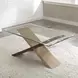 Tasha Brown Rectangular Cocktail Table
