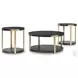 Shylore Black And Brass Occasional Table Set