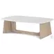 Repose Grey Oak And Grey Visible Inner Wooden 55" Coffee Table with Quartz Top
