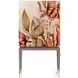 Bouquet Multi Colored 2 Door Bar Cabinet