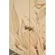 Bouquet Buttercream and Beige 2 Door Accent Cabinet