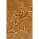 Perch Toffee 2 Door Flora Bar Cabinet