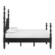 Rosalie Black Queen Poster Bed