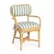 Dorine Mint Green and White Performance Fabric Upholstered Arm Chair