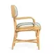 Dorine Mint Green and White Performance Fabric Upholstered Arm Chair