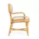 Dorine Khaki and White Performance Fabric Upholstered Arm Chair