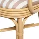 Dorine Khaki and White Performance Fabric Upholstered Arm Chair