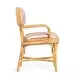 Dorine Cherry and White Performance Fabric Upholstered Arm Chair