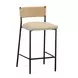 Celine Tan Performance Fabric Upholstered Bar Stool
