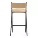 Celine Tan Performance Fabric Upholstered Bar Stool