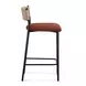 Celine Maroon Performance Fabric Upholstered Counter Height Stool