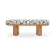 Ollie Cream and Black Performance Fabric Upholstered Accent Bench