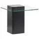 Donora Obsidian Square Glass Top End Table