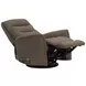 Dualis Snazzy Shiitake Manual Swivel Glider Recliner