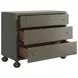 Harbor Sage Green 3 Drawer Accent Chest