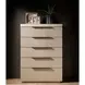 Evermont Mist and White 5 Drawer Quartz Top Chest