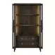 Realm Brown 2 Door Display Cabinet with LED