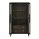 Realm Brown 2 Door Display Cabinet with LED