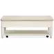 Whisperbay Sea Pearl and Driftwood Rectangular Lift Top Cocktail Table