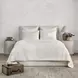Bari Cloud Velvet King Quilt