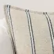 Comporta Delgada Natural and Blue 20 x 20" Accent Pillow Set of 2