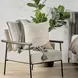 Heritage Craft Halter Ivory Square Accent Pillow Set of 2