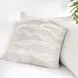 Stillness Passage Ivory Square Accent Pillow Set of 2