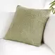 Sava Wheat Green Square Accent Pillow Set of 2
