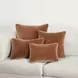 Heirloom Velvet Hazel 22 x 22" Accent Pillow Set of 2