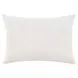 Boardwalk Foundation Blue and Sagebrush Green Rectangular Accent Pillow Set of 2