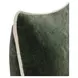 Heirloom Velvet Forest Green Rectangular Accent Pillow Set of 2