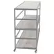 Glendora Silver Storage Rack with Casters