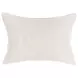 Radiant Oasis Lira Natural and Silver Rectangular Accent Pillow Set of 2