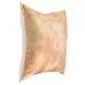 Radiant Oasis Onara Burnt Orange and Gold Square Accent Pillow Set of 2