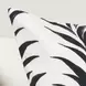 Radiant Oasis Alula Black and White Square Accent Pillow Set of 2
