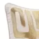 Radiant Oasis Zelo Natural and Gold Square Accent Pillow Set of 2