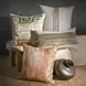 Radiant Oasis Zelo Natural and Gold Square Accent Pillow Set of 2