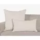 Equilibrium Ion Ivory Rectangular Accent Pillow Set of 2