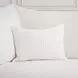 Gratitude White Rectangular Accent Pillow Set of 2