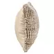 Shades Vico Caramel and Beige Rectangular Accent Pillow Set of 2