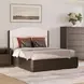 Athens Ivory and Chocolate Performance Fabric Queen Upholstered Storage Panel Bed