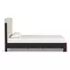 Waterfall Cream and Deep Ebony Performance Fabric Queen Upholstered Panel Bed